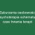 Zaburzenia osobowości psychoterapia schematu – czas trwania terapii